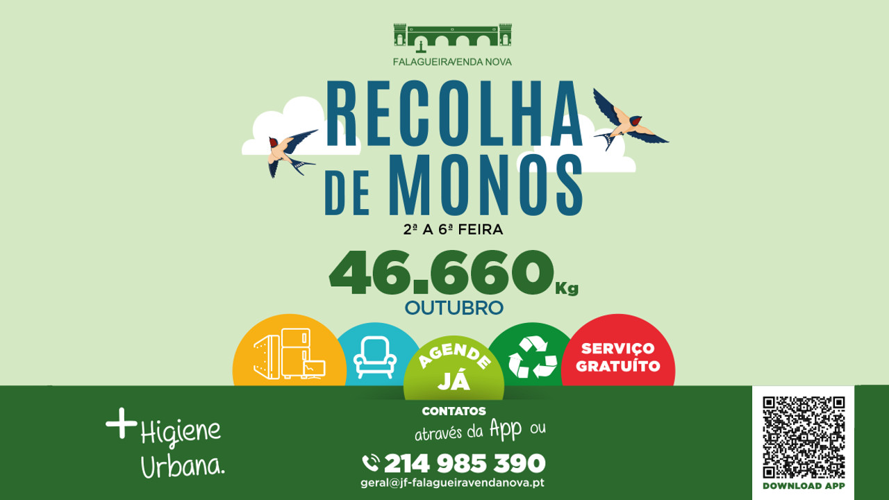 46.660 Kg de Monos e Lixo Especial recolhidos em Outubro