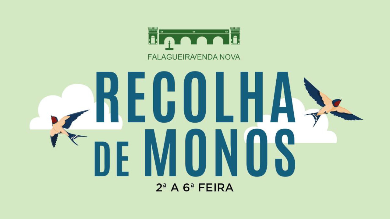 Recolha de monos e lixo especial em setembro